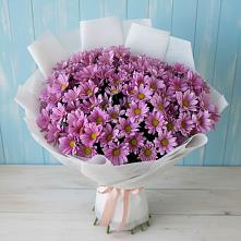Букет цветов из:  Хризантемы #REPLACE_PRED# Горячеисточненской