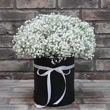 Цветочная композиция из Гипсофила в шляпной коробке в Горячеисточненской